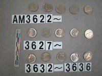 藏品(美國5分硬幣)的圖片